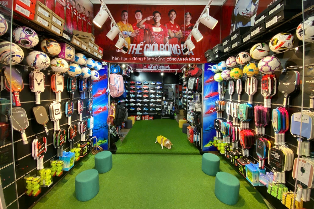 Mua vợt Pickleball TP.HCM ở đâu uy tín? Gợi ý shop chuẩn