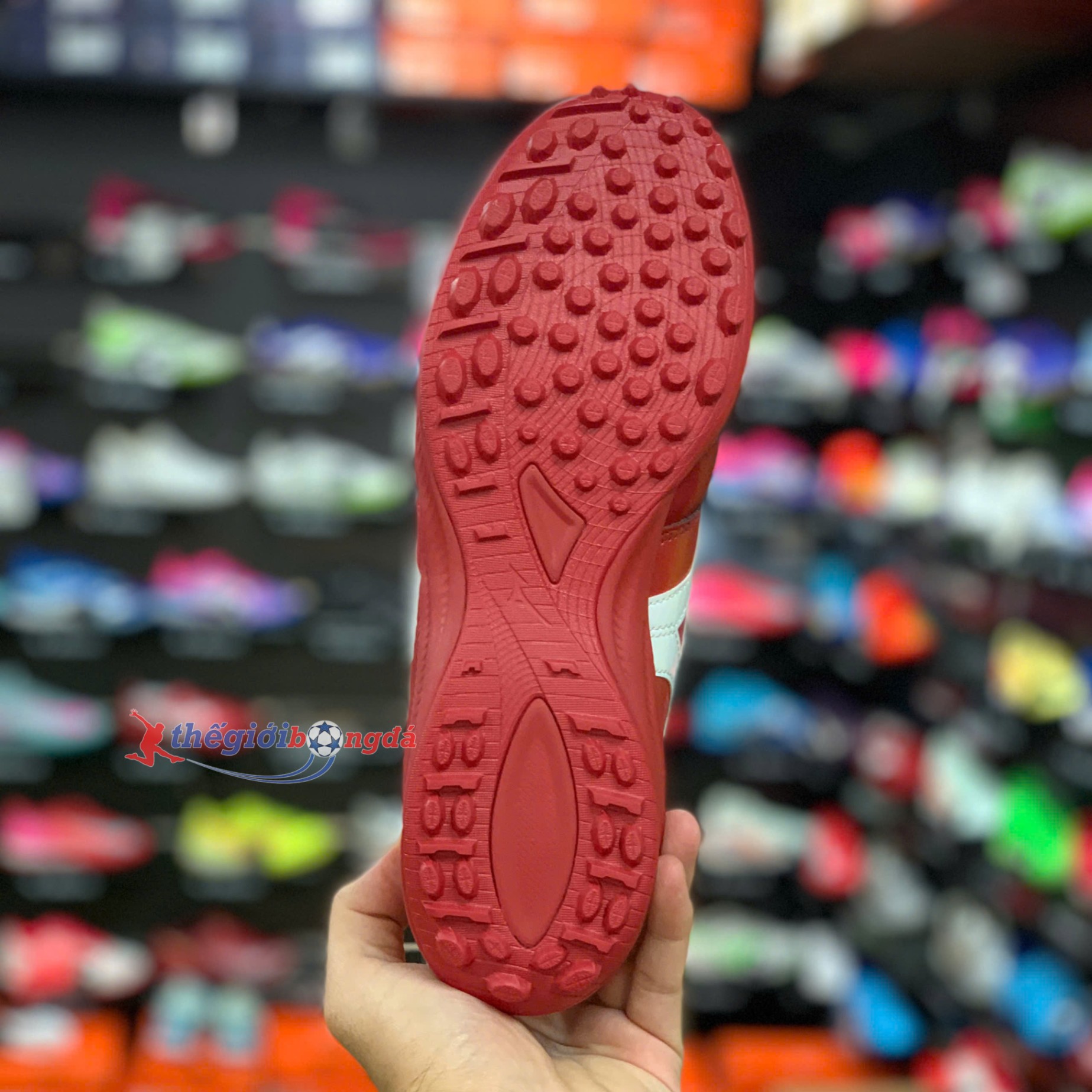 (Đế mới) Mizuno Morelia Sala Pro AS TF Red Ruby Q1GB251360