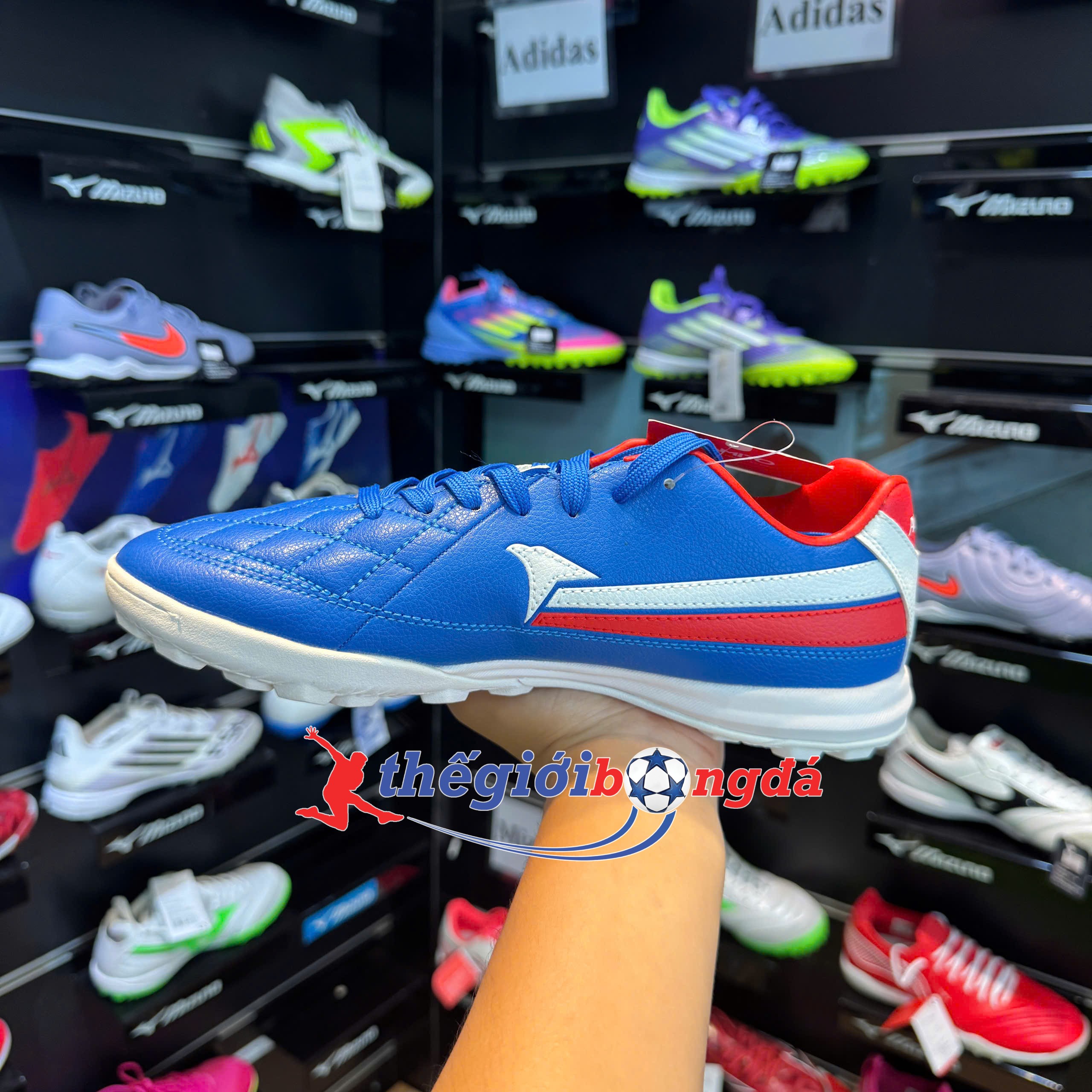 Giày đá bóng Kamito Artista Pro TF - Xanh biển