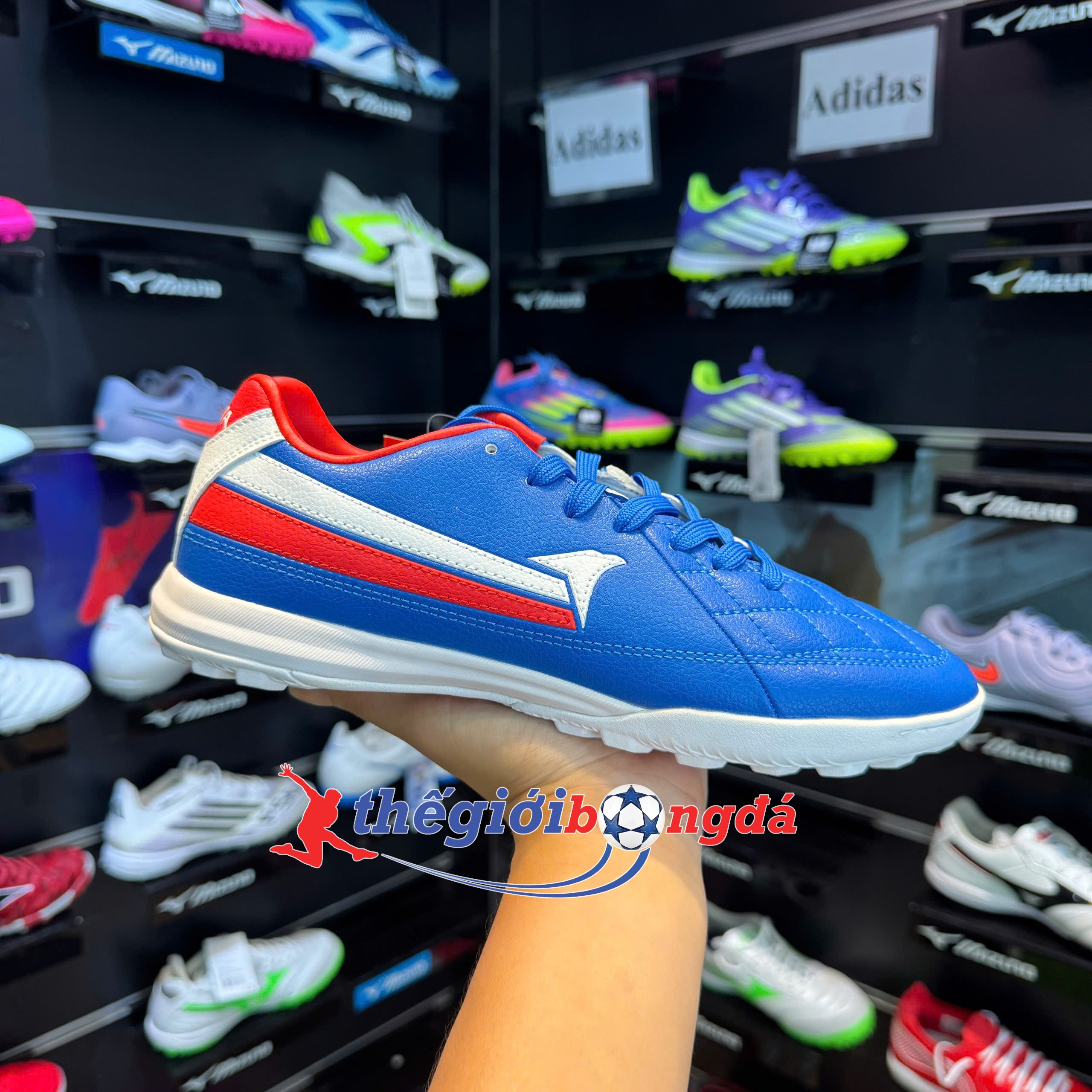 Giày đá bóng Kamito Artista Pro TF - Xanh biển