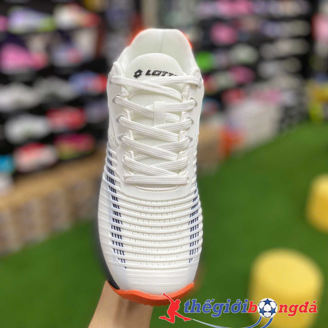 Giày Tennis/Pickleball Nam Lotto Francis LOTTE250701O