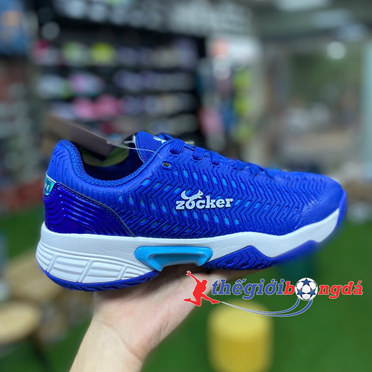 Giày Pickleball Nam/Nữ Zocker Aspire Blue