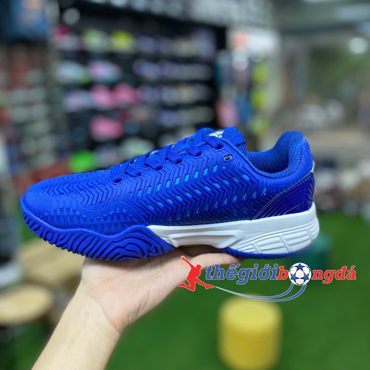 Giày Pickleball Nam/Nữ Zocker Aspire Blue