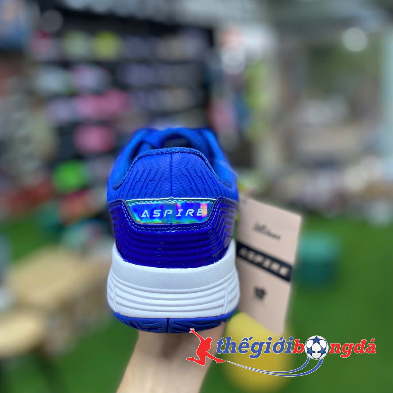 Giày Pickleball Nam/Nữ Zocker Aspire Blue