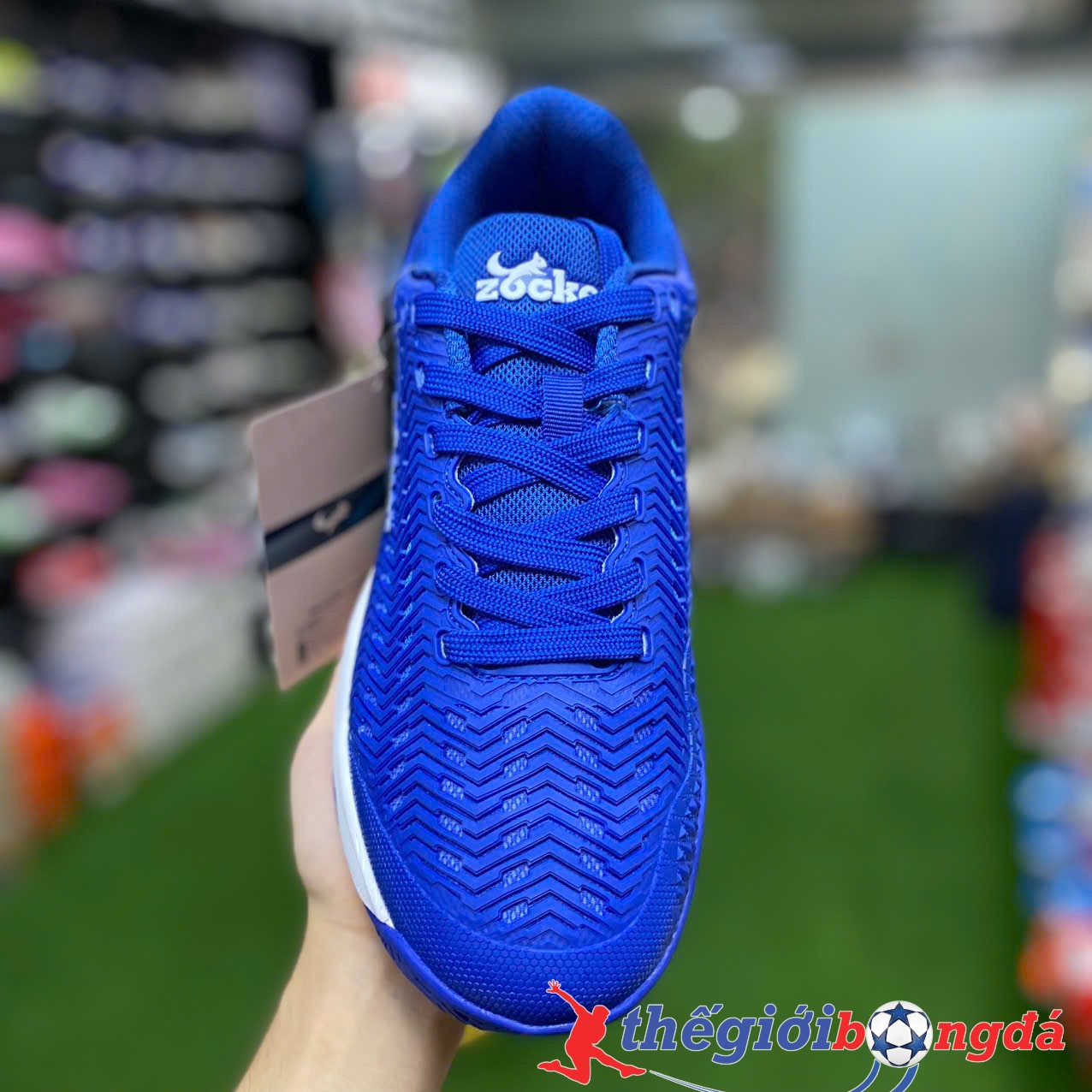 Giày Pickleball Nam/Nữ Zocker Aspire Blue