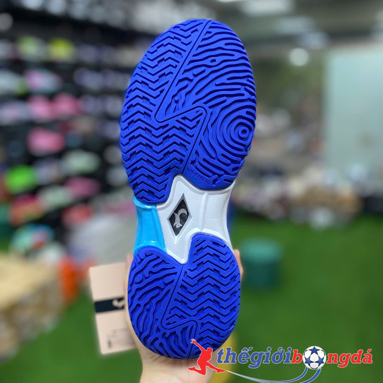 Giày Pickleball Nam/Nữ Zocker Aspire Blue