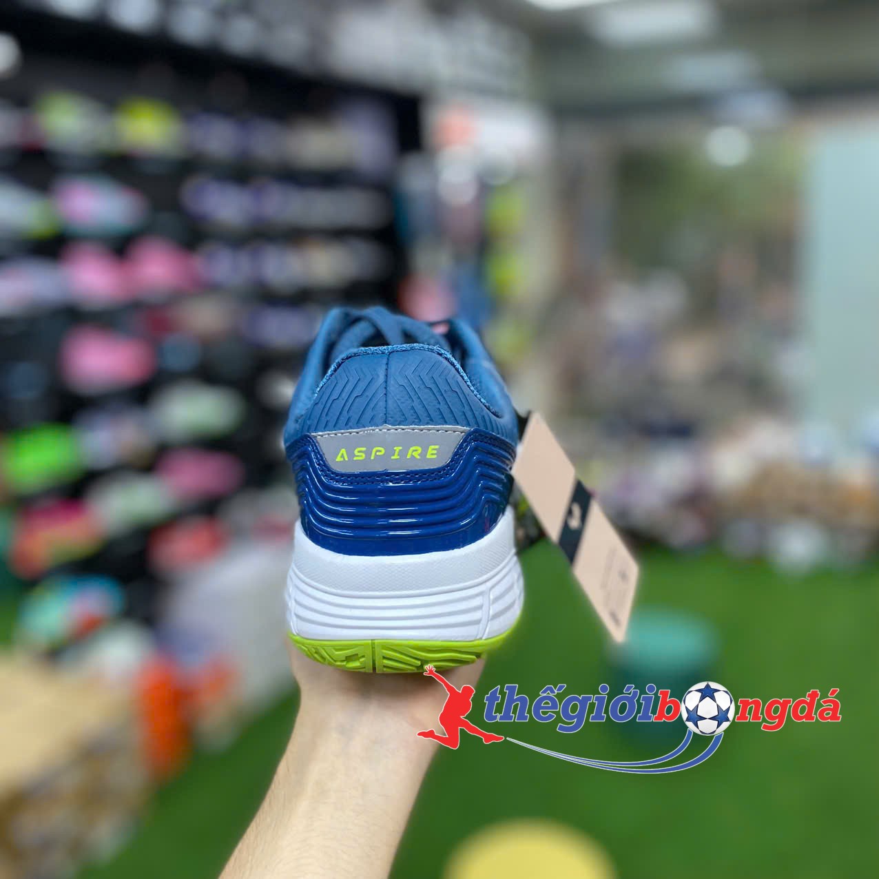 Giày Pickleball Nam/Nữ Zocker Aspire Navy