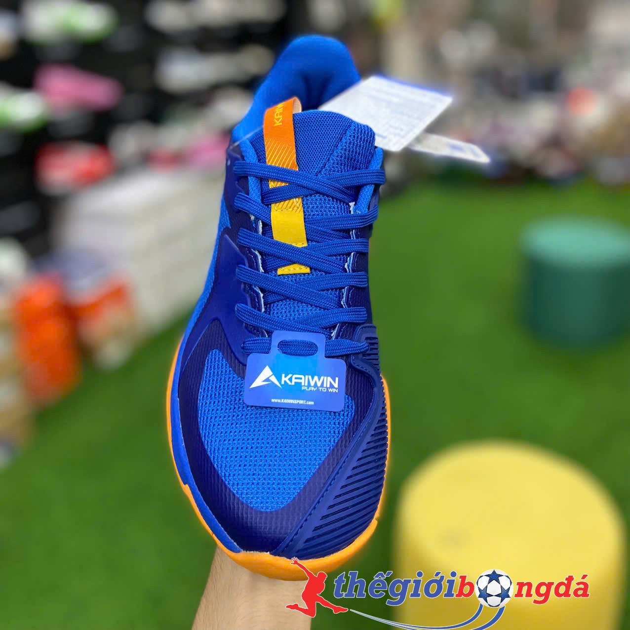 Giày Thể Thao Pickleball Kaiwin Area - Xanh bích