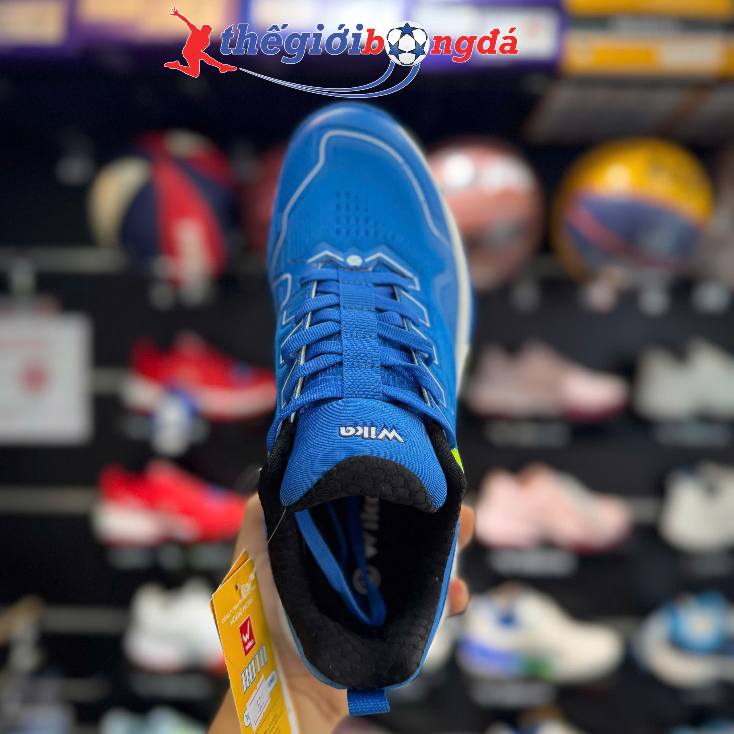 Giày Pickleball Wika Ruta Quang Dương - Xanh dương