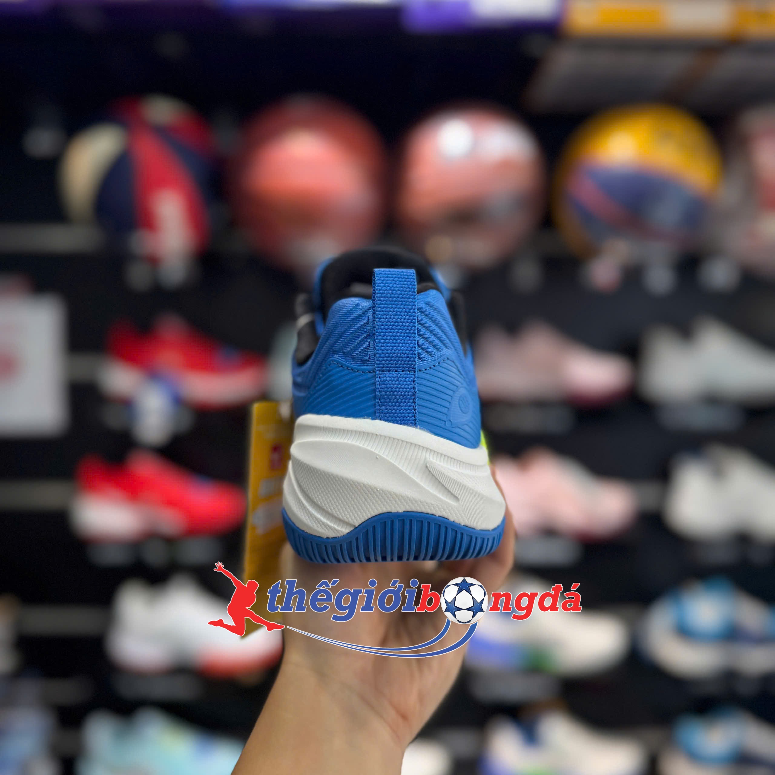 Giày Pickleball Wika Ruta Quang Dương - Xanh dương