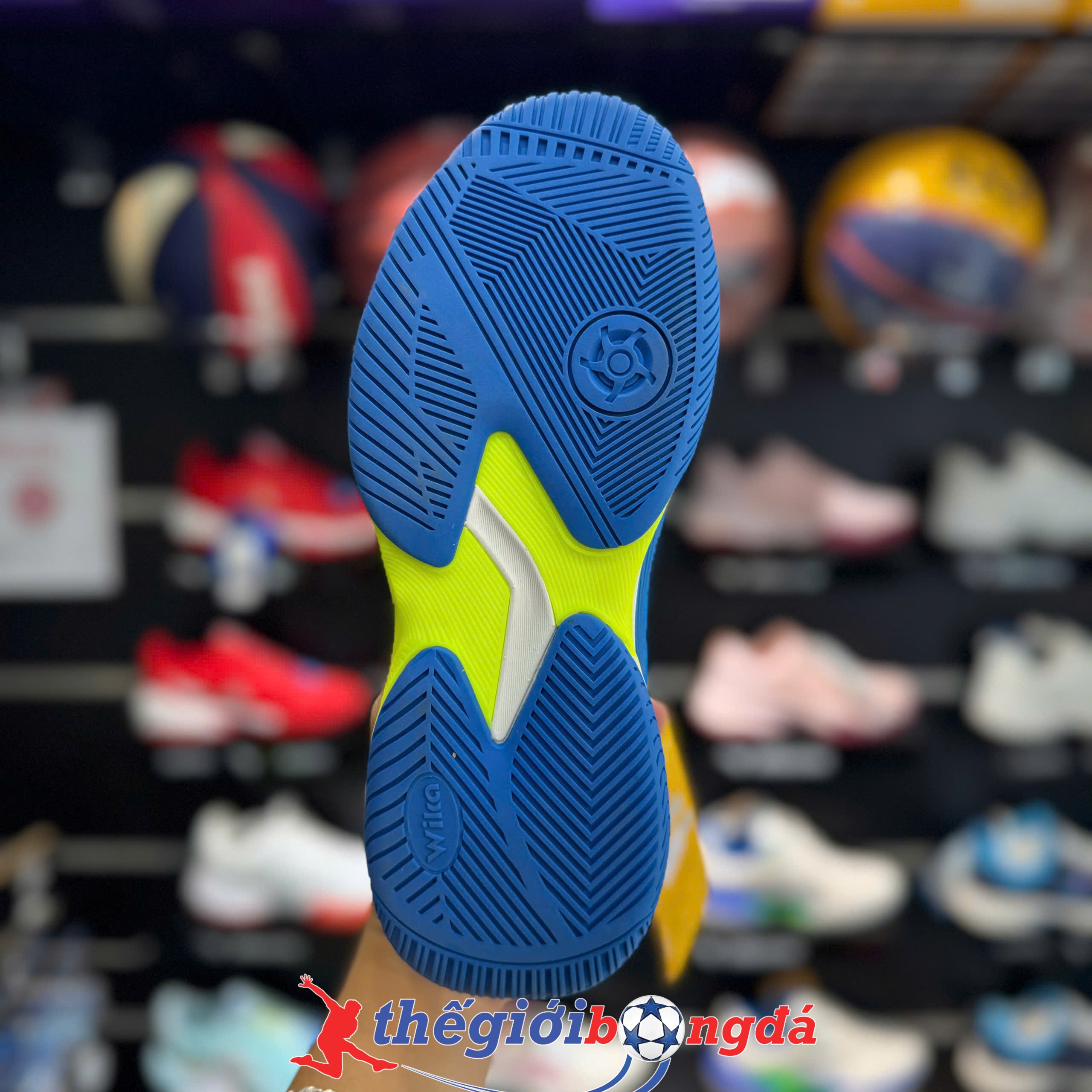 Giày Pickleball Wika Ruta Quang Dương - Xanh dương