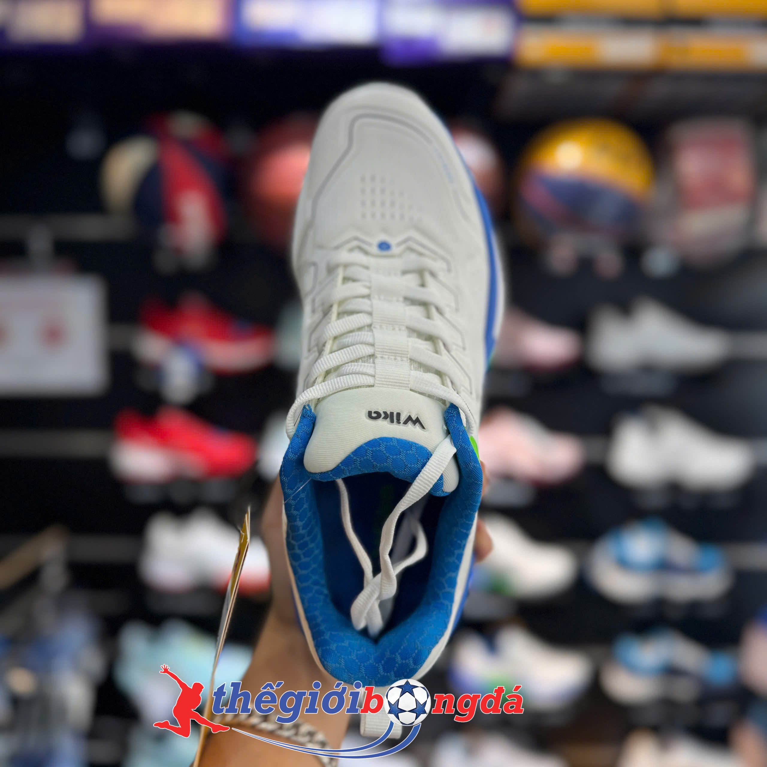 Giày Pickleball Wika Ruta Quang Dương - Trắng xanh dương