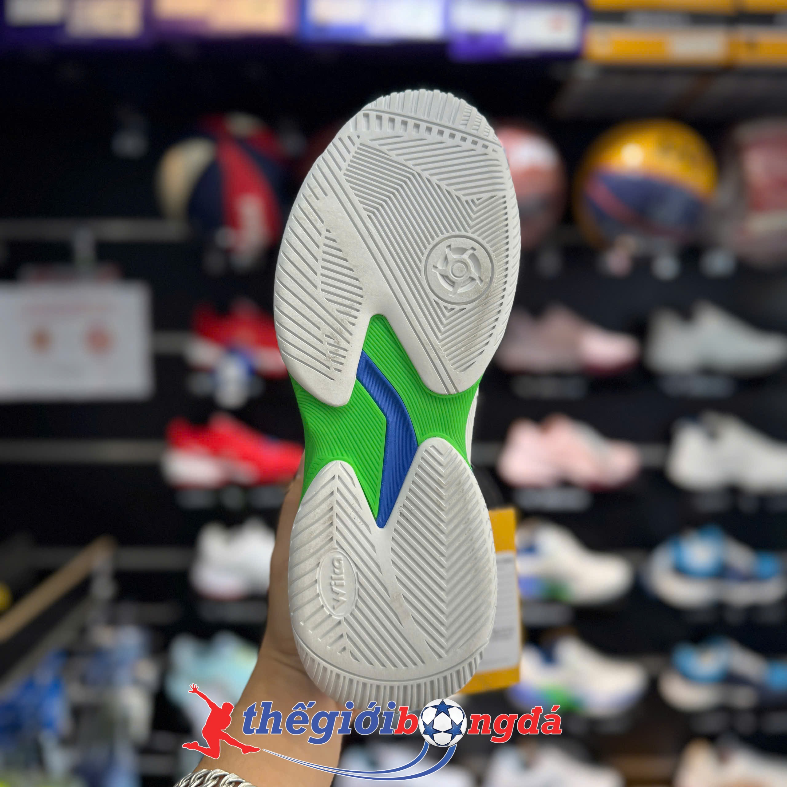 Giày Pickleball Wika Ruta Quang Dương - Trắng xanh dương