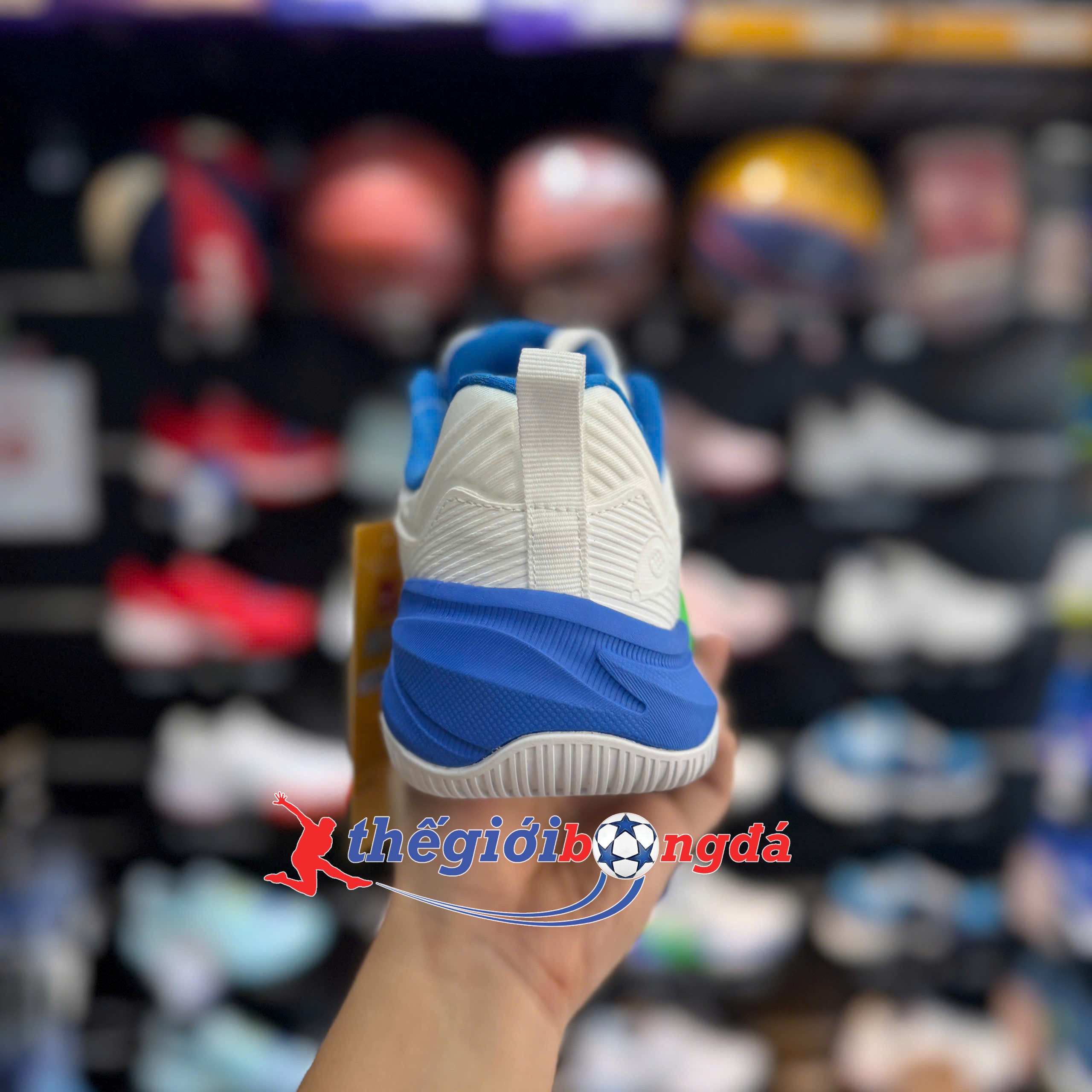 Giày Pickleball Wika Ruta Quang Dương - Trắng xanh dương