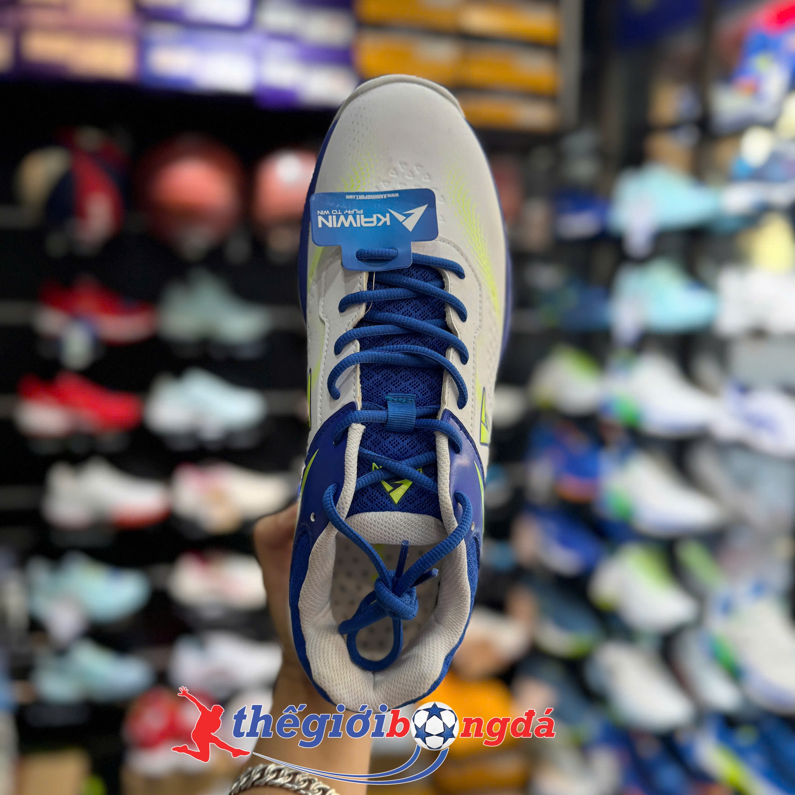 Giày Thể Thao Pickleball Kaiwin Future - Trắng Xanh