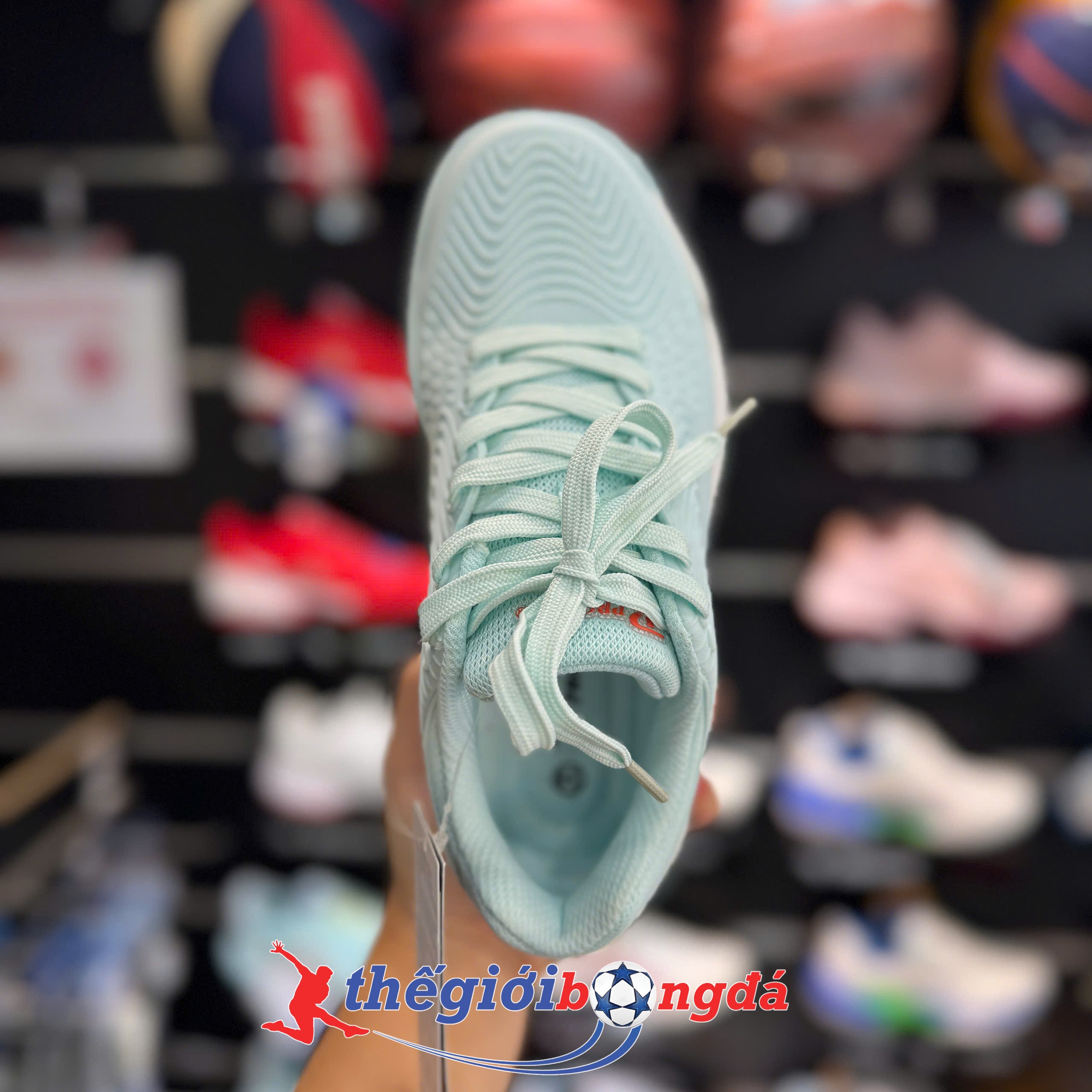 Giày Pickleball Promax PI89 xanh ngọc