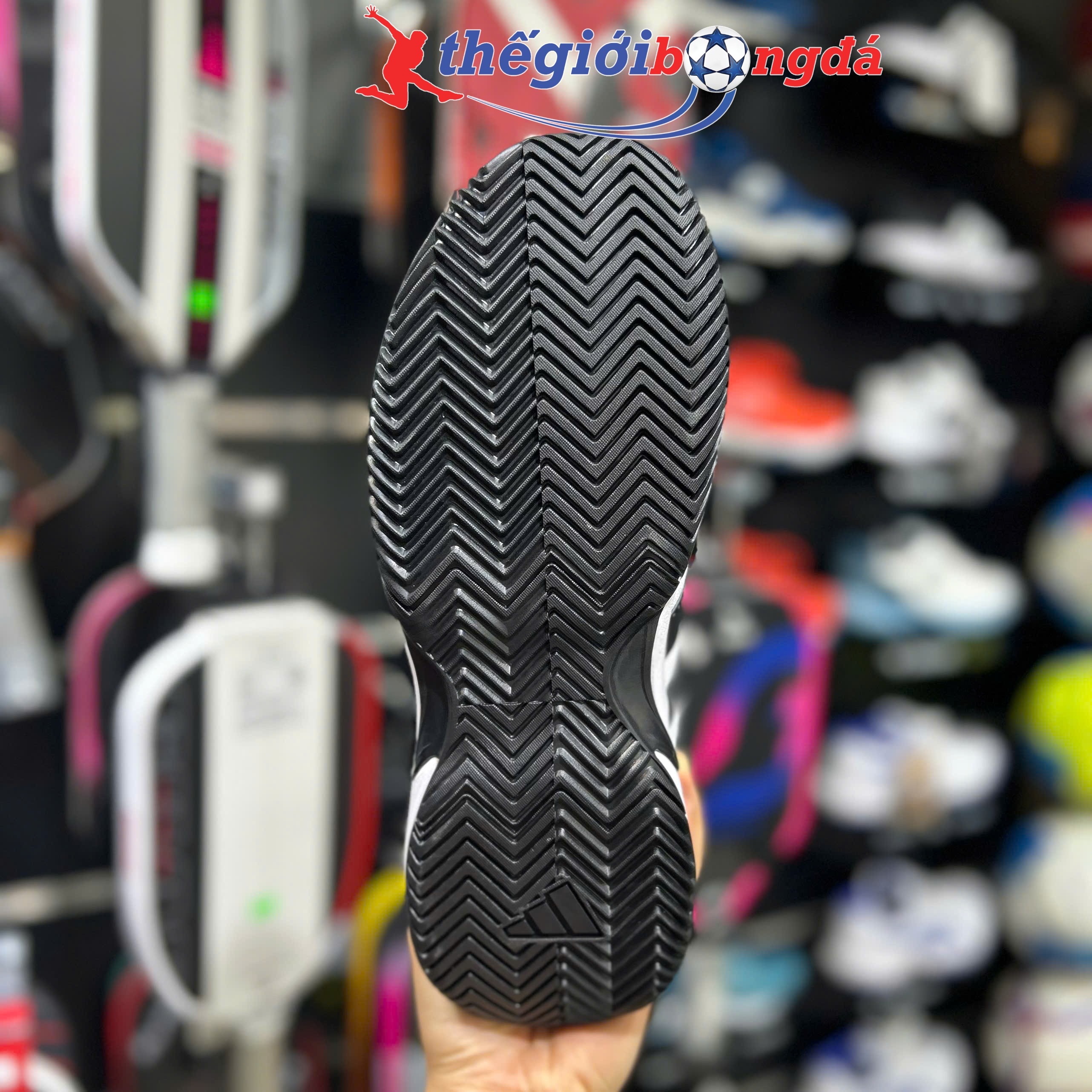 Giày Pickleball Adidas GameCourt 2 - KI0781 - Trắng