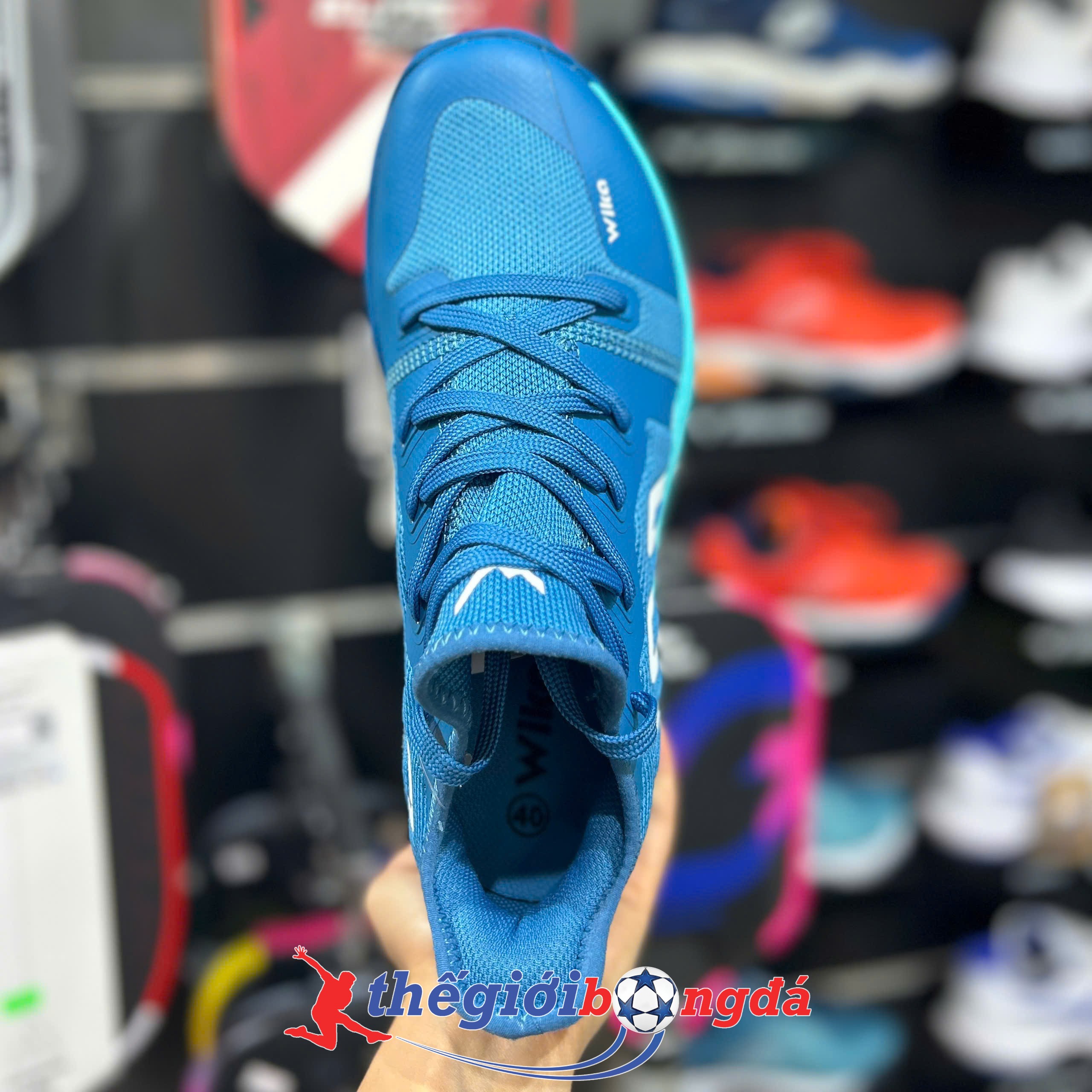 Giày Pickleball Wika Loudy Navy