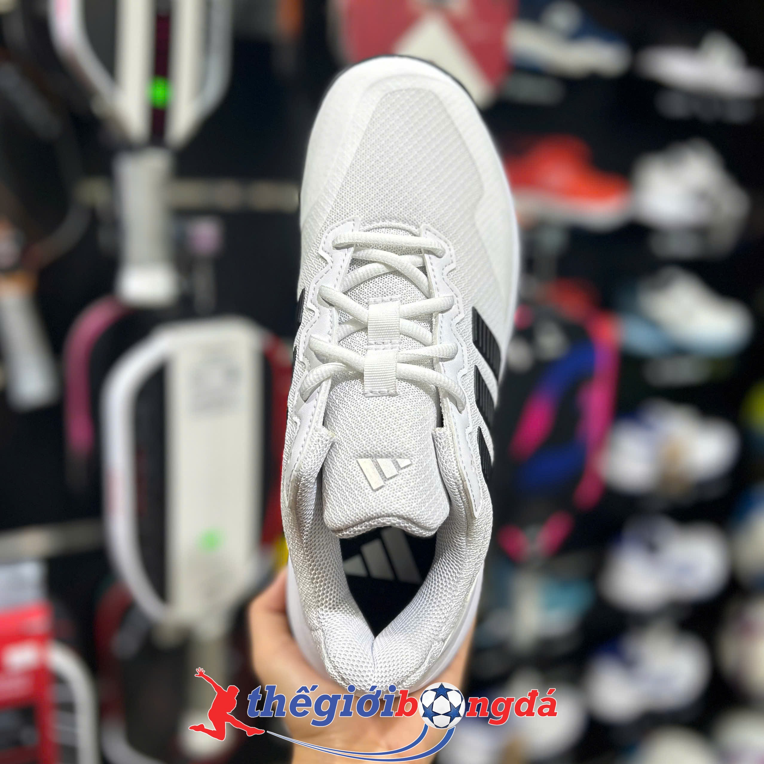 Giày Pickleball Adidas GameCourt 2 - KI0781 - Trắng