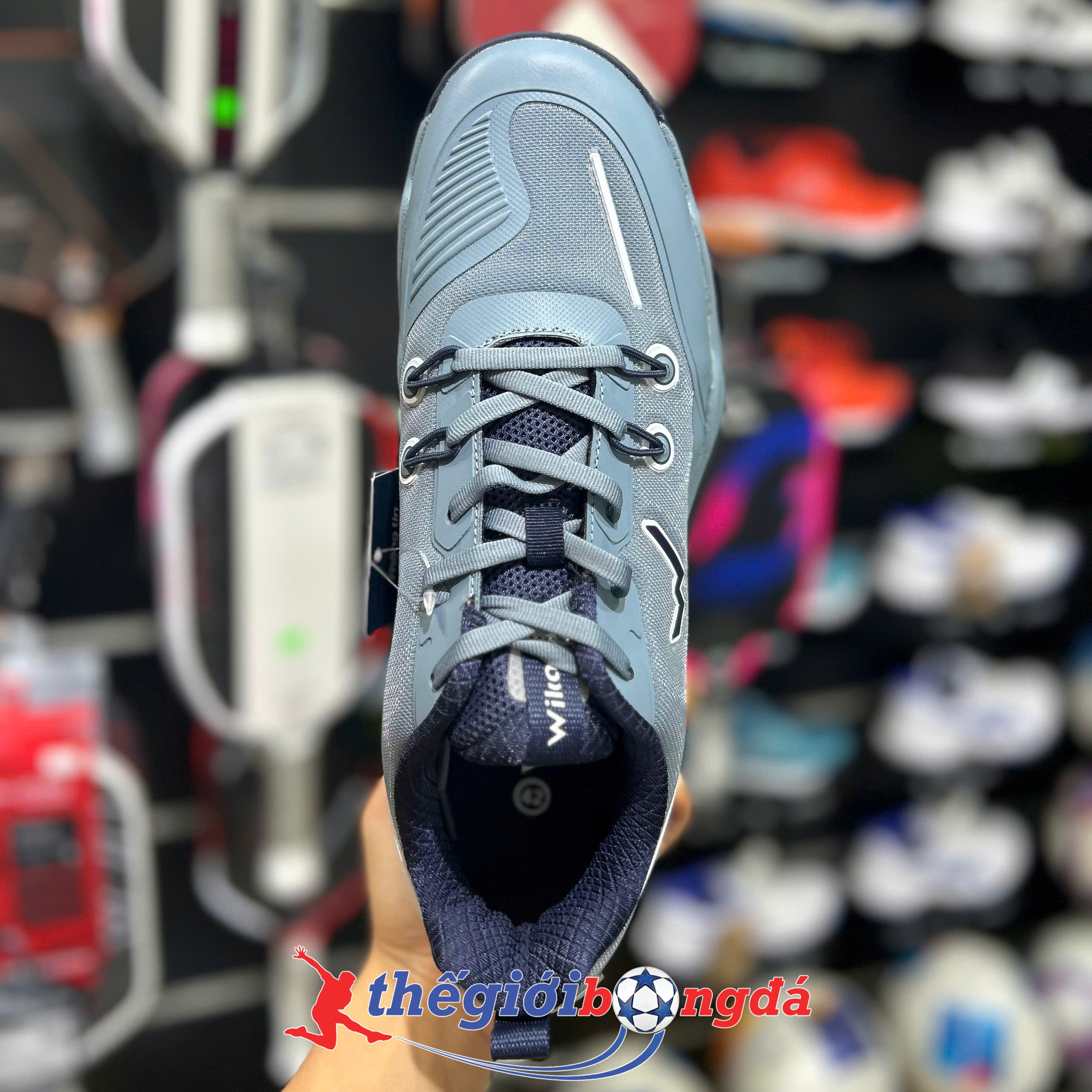 Giày Pickleball Wika Vanta navy