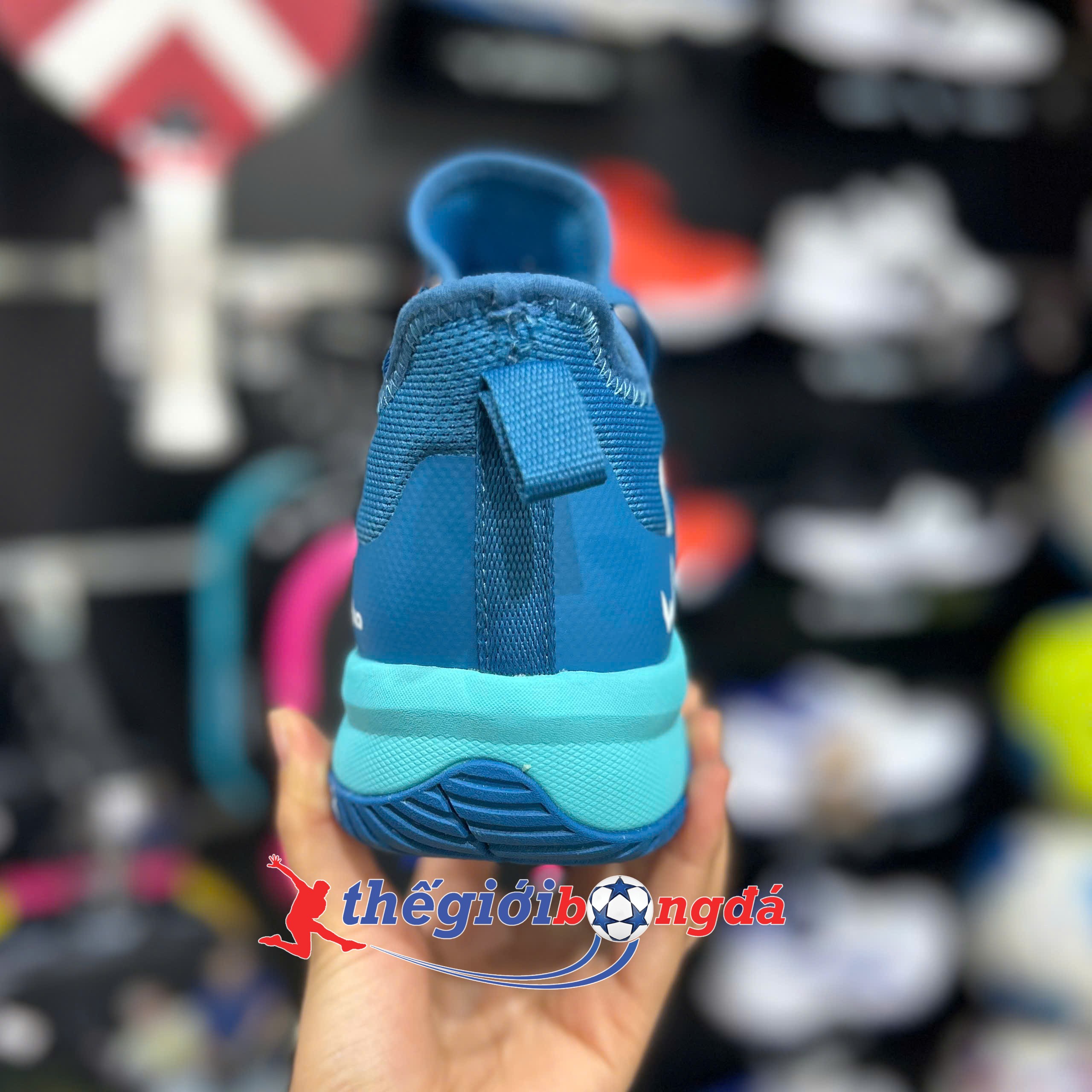 Giày Pickleball Wika Loudy Navy