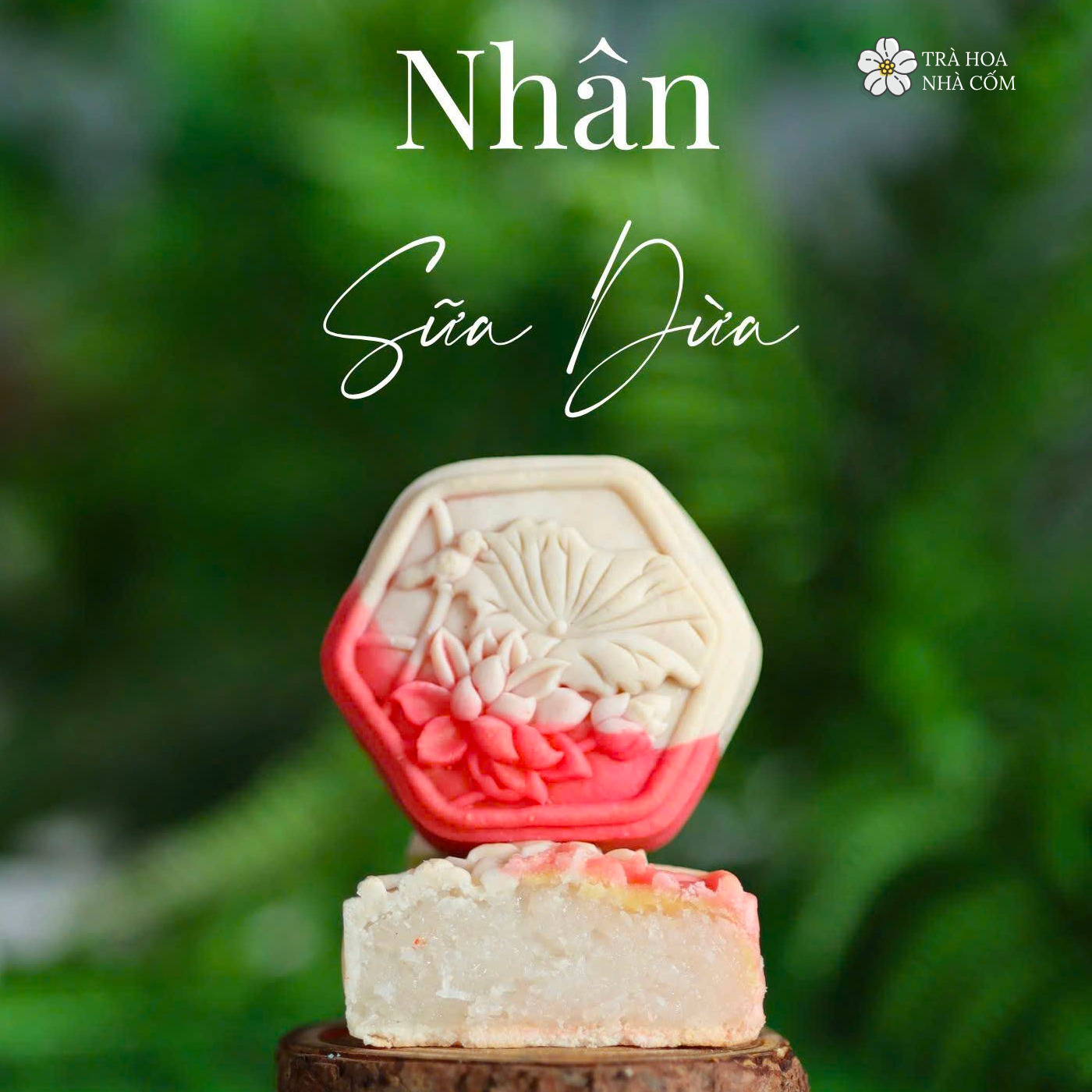 Bánh trung thu mini 65gr nhân sữa dừa
