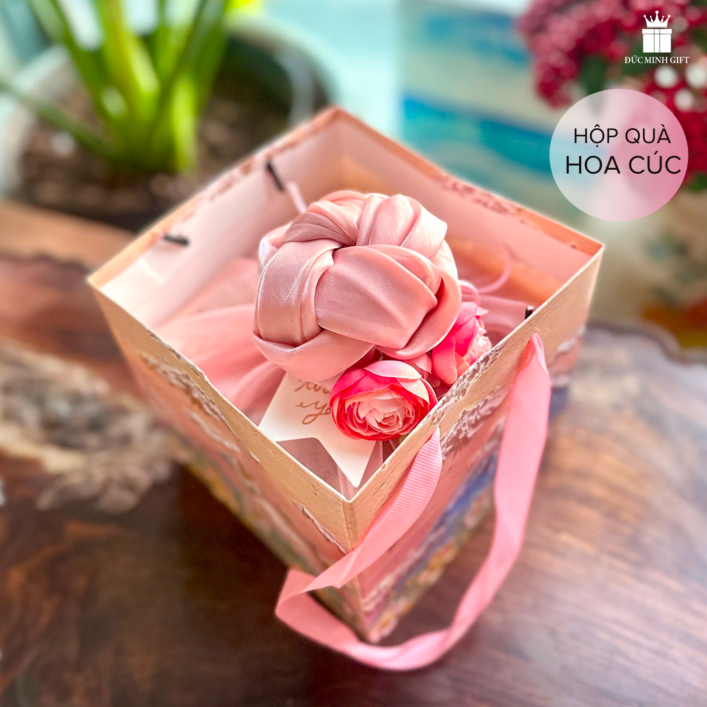 Hop-qua-Hoa-Cuc-Hong_QPD15.2.png