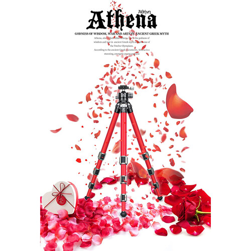 Chân máy tripod Leofoto LA-284C + đầu ball LH-30-Chính hãng