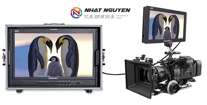 SEETEC P215-9HSD-192-CO 21.5 INCH 1920 × 1080 MANG TRÊN MÀN HÌNH PHÁT SÓNG GIÁM ĐỐC SDI HDMI