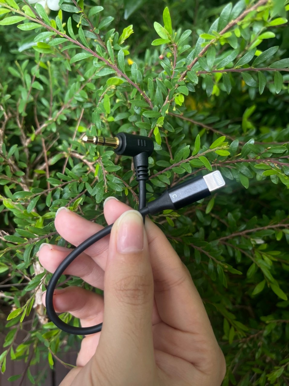 Jack đực 3.5 to Lightning, sử dụng cho iphone dưới 14 và Mic Rode / Dji / Boya / Saramonic....