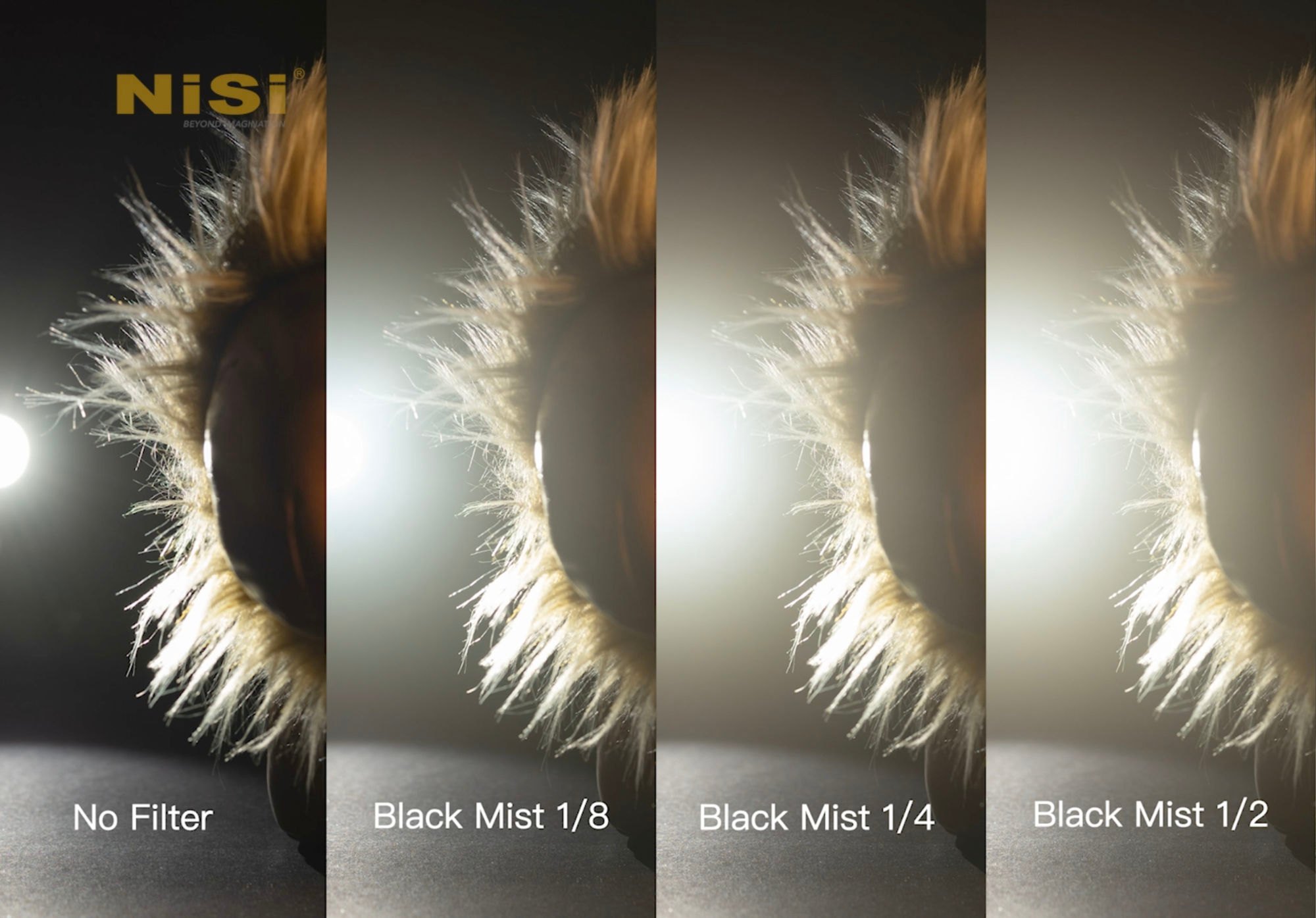 Filter NiSi Black Promist 82mm 1/4 - Chính hãng