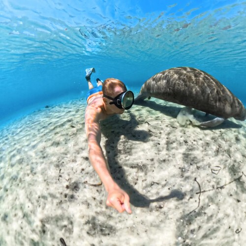 Vỏ chống nước Insta360 X5 - Chính Hãng