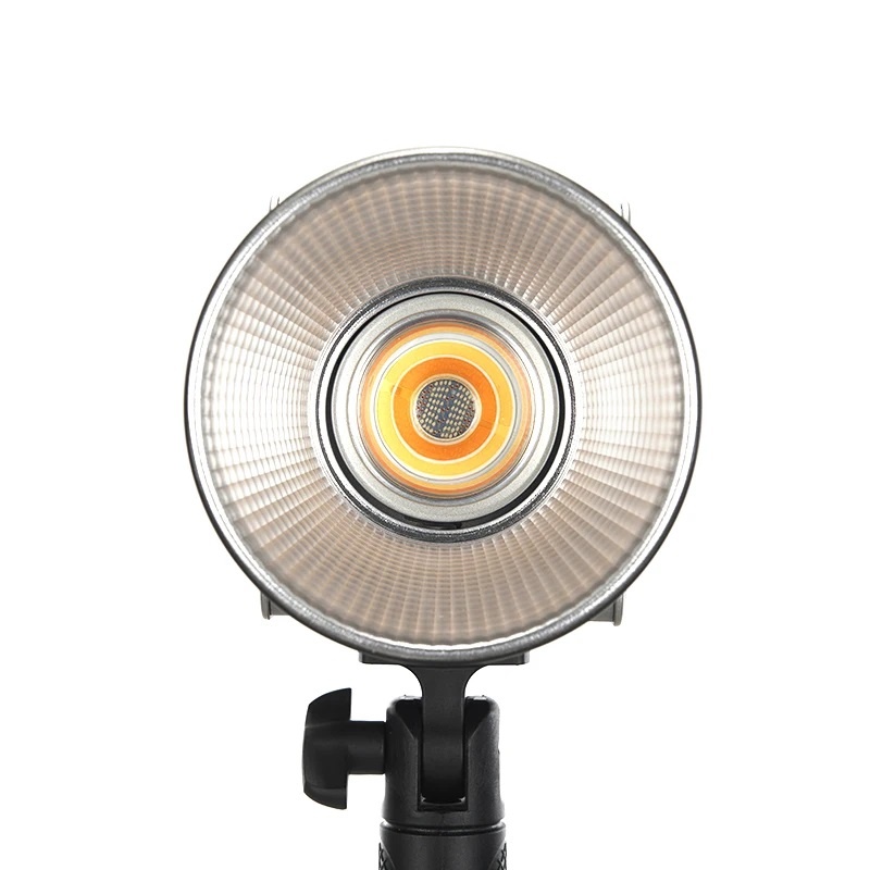 Đèn TOLIFO PALM LED PL-100RGB- Combo