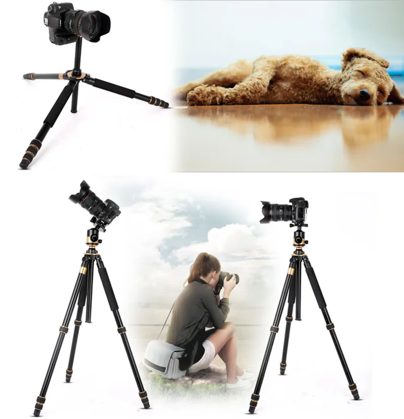 Chân máy ảnh chuyên nghiệp Tripod Beike QZSD – Q1000