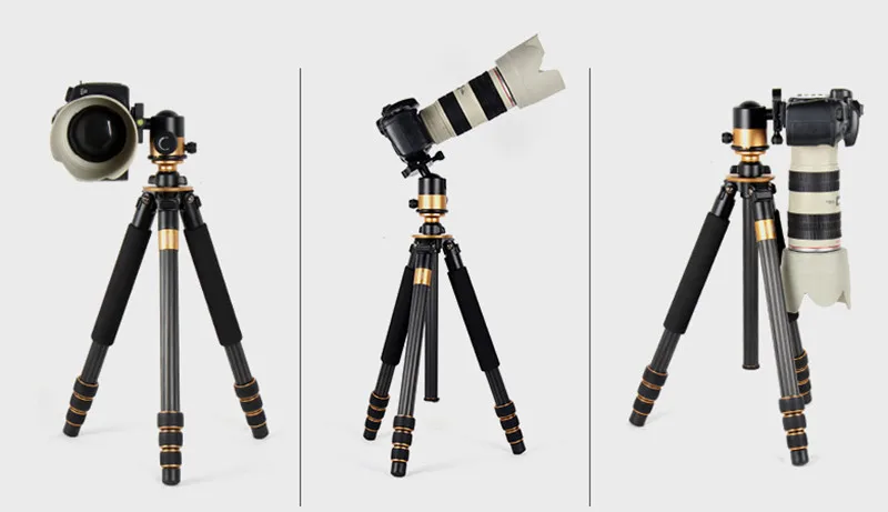 Chân máy ảnh chuyên nghiệp Tripod Beike QZSD – Q1000