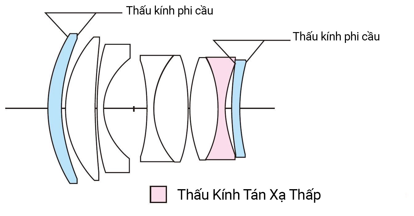 20250204_sSgtlJpz.jpg