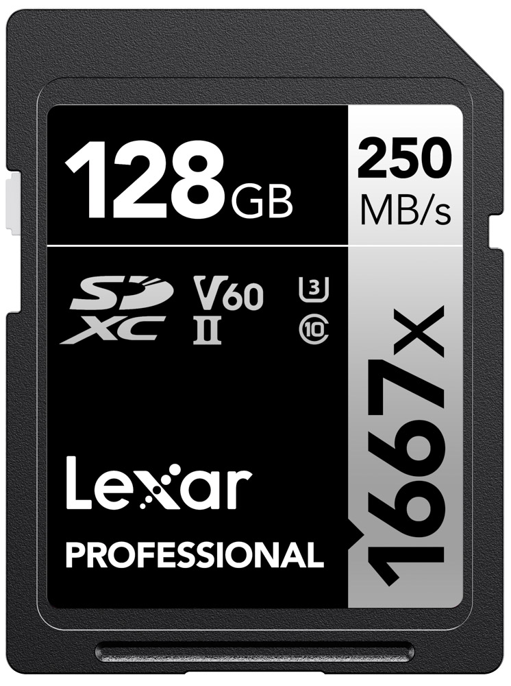 20250807_pu0BCUOO.jpg