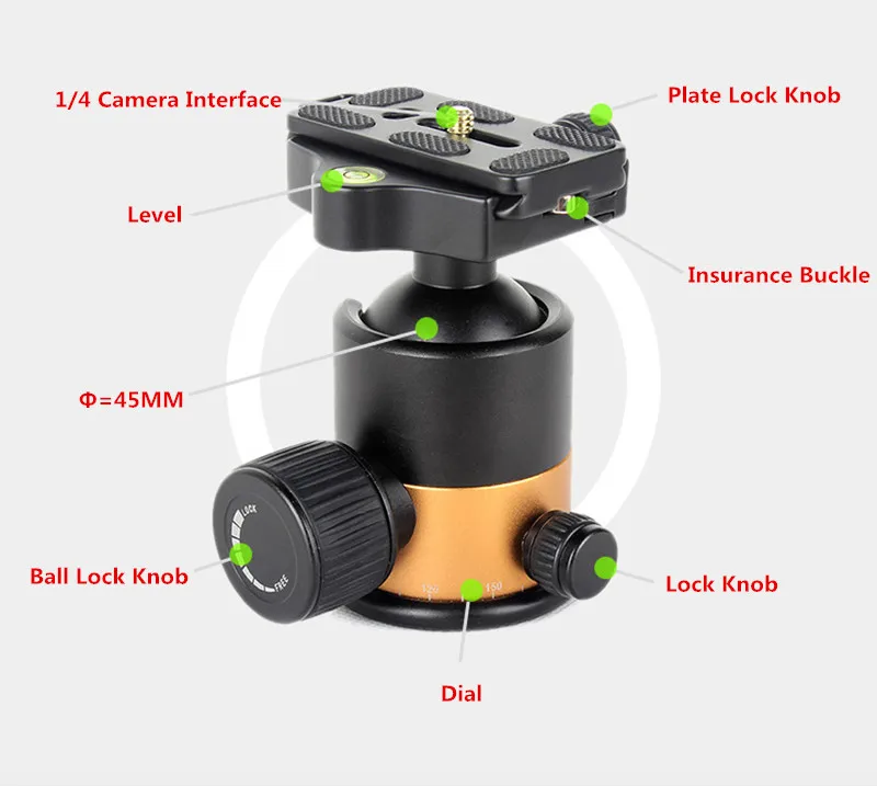 Chan-may-anh-chuyen-nghiep-Tripod-Beike-QZSD-Q1000-19.webp?v=1781338282