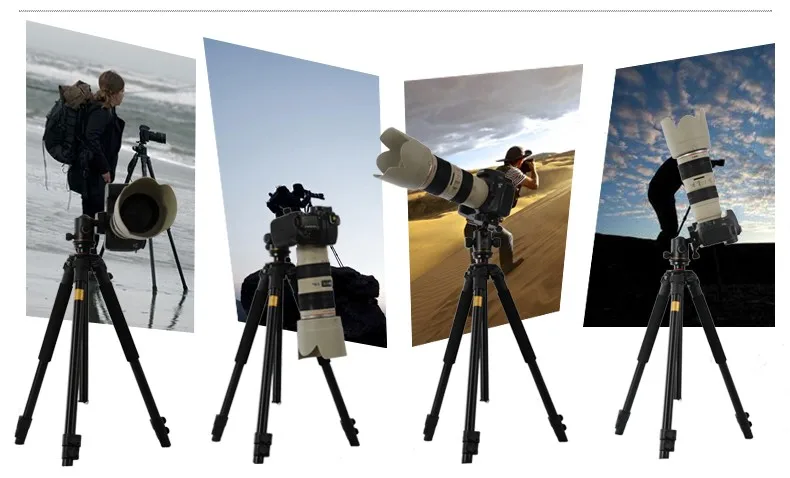 Chan-may-anh-chuyen-nghiep-Tripod-Beike-QZSD-Q360-8.webp?v=1781338913
