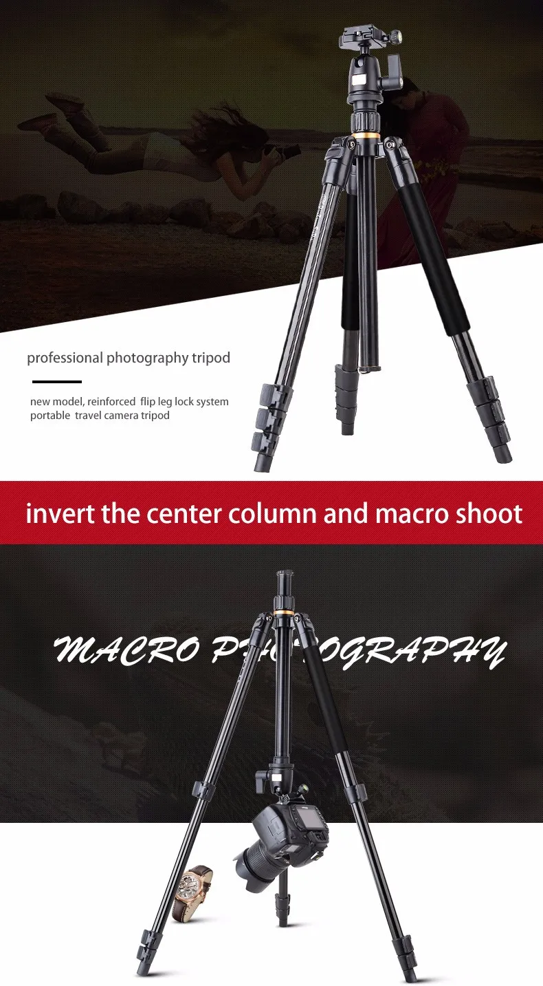Chan-may-anh-chuyen-nghiep-Tripod-Beike-QZSD-Q510-4.webp?v=1781341091