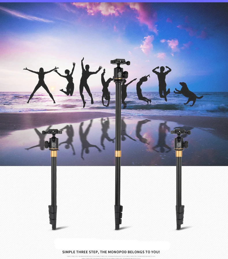 Chan-may-anh-chuyen-nghiep-Tripod-Beike-QZSD-Q580-10.webp?v=1781341533