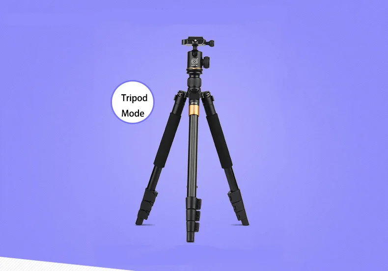 Chan-may-anh-chuyen-nghiep-Tripod-Beike-QZSD-Q580-7.webp?v=1781341530