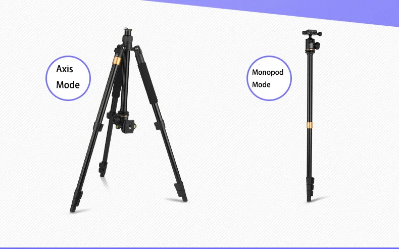 Chan-may-anh-chuyen-nghiep-Tripod-Beike-QZSD-Q580-8.webp?v=1781341531