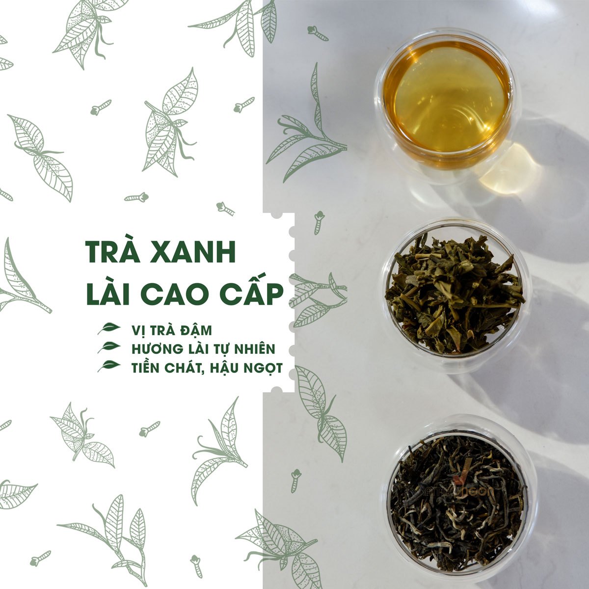 Amazingon_mau-tra-lai-cao-cap.jpg