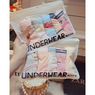 SET 5 QUẦN CHIP HÌNH CUTE TÚI ZIP