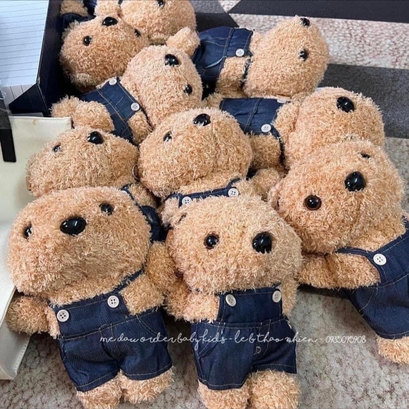 TÚI GẤU KOREA XỊN XÒ - Nâu