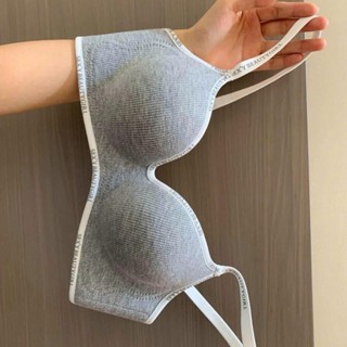 SET 3 ÁO LÓT DÂY CHỮ HỌC SINH