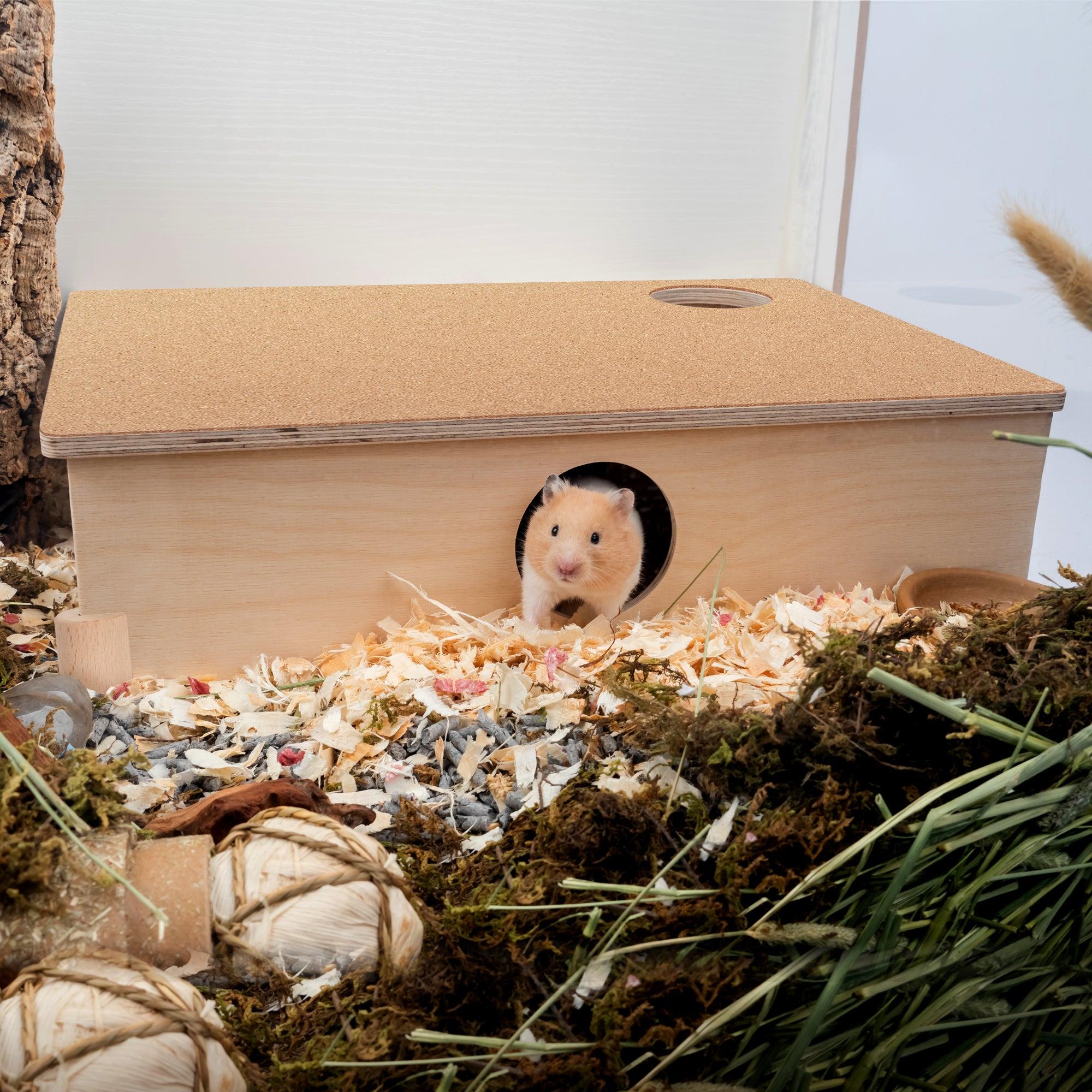 Nhà gỗ trú ẩn có cửa rộng cho Hamster Bear Tạng To