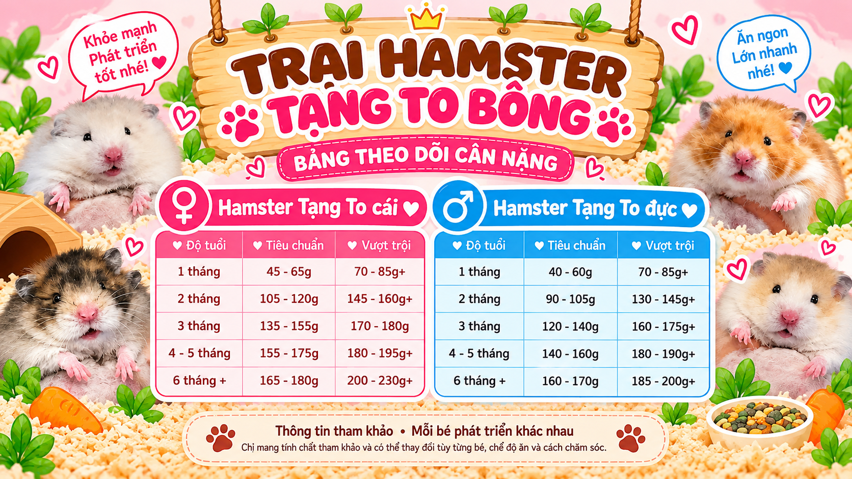 Bảng cân nặng Hamster Bear Tạng To đực và cái theo độ tuổi