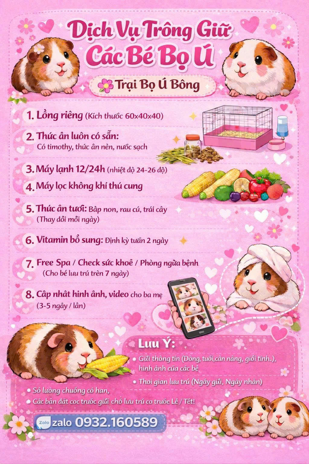 Banner dưới trang chủ - 1